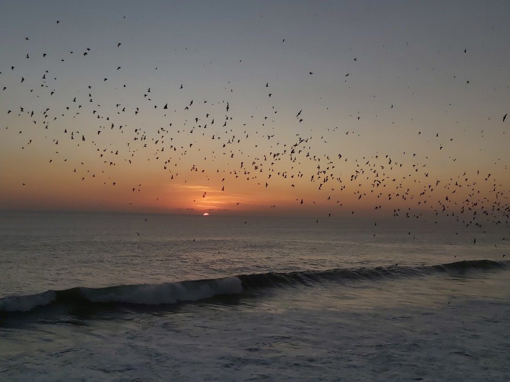 Photograph by Andrea Szénási