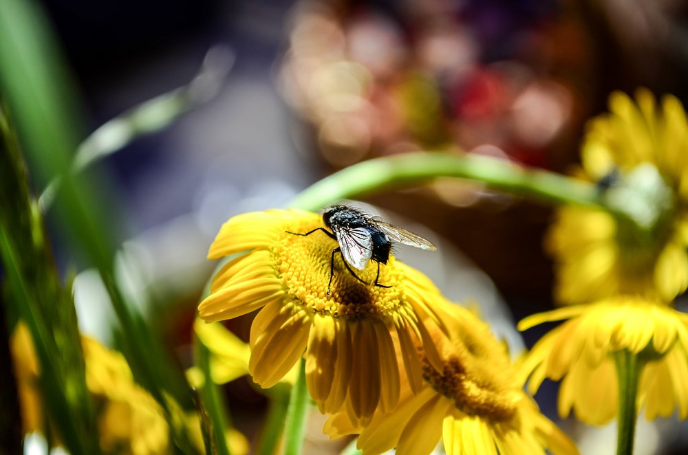 Photograph by Ирина Глушенкова