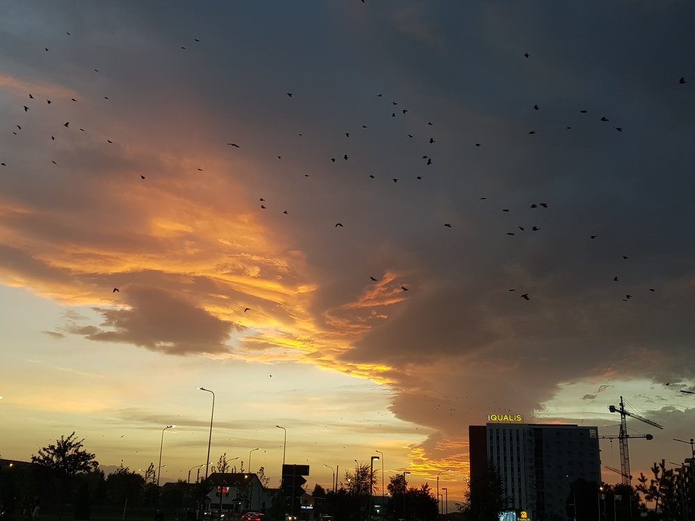 Photograph by rusenescu ramona