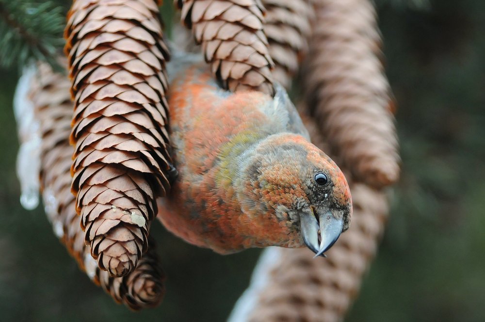 Photograph by Gianpiero Secco