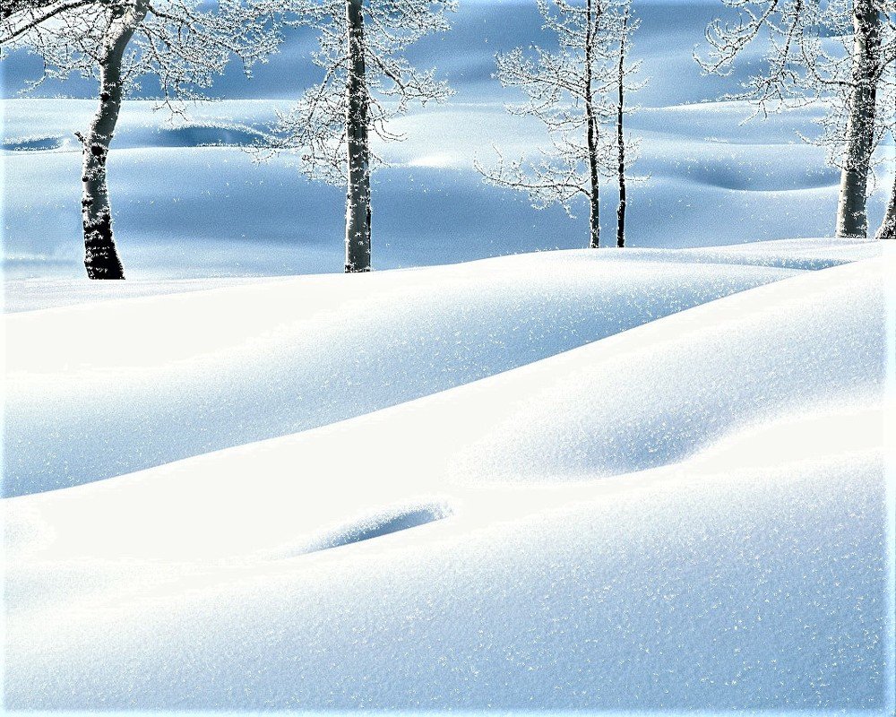 Photograph by TERESA Yurkevich