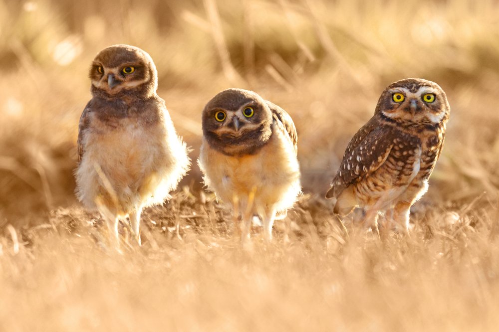 Photograph by Andre Miranda