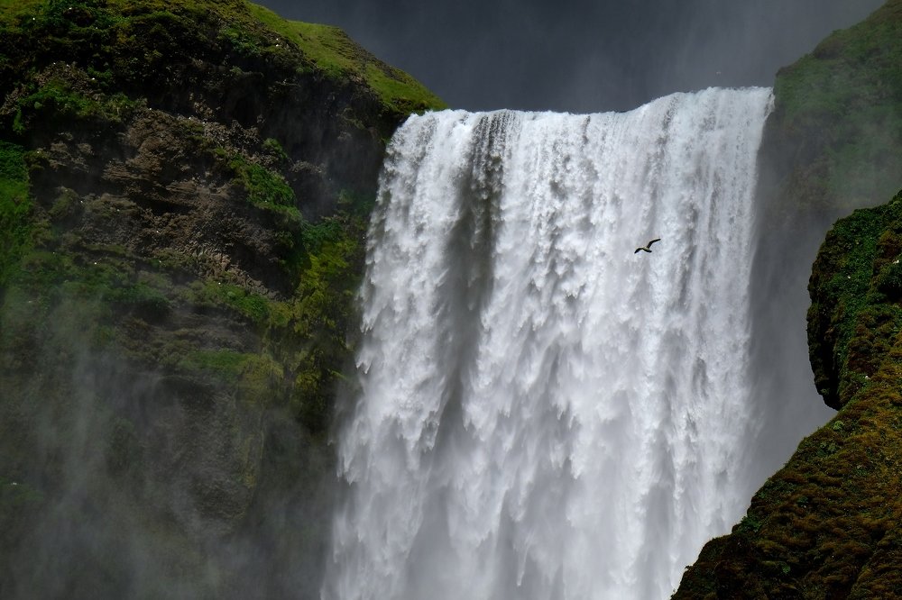 Photograph by Леонид Петруша