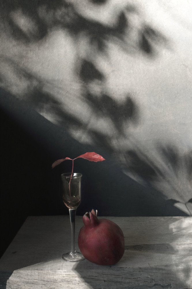 Фотография автора Коршак Елена