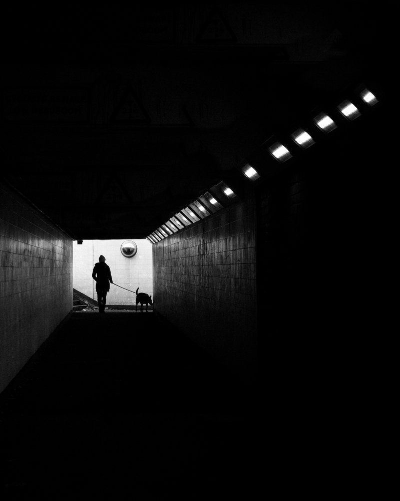 Photograph by Marina Pires