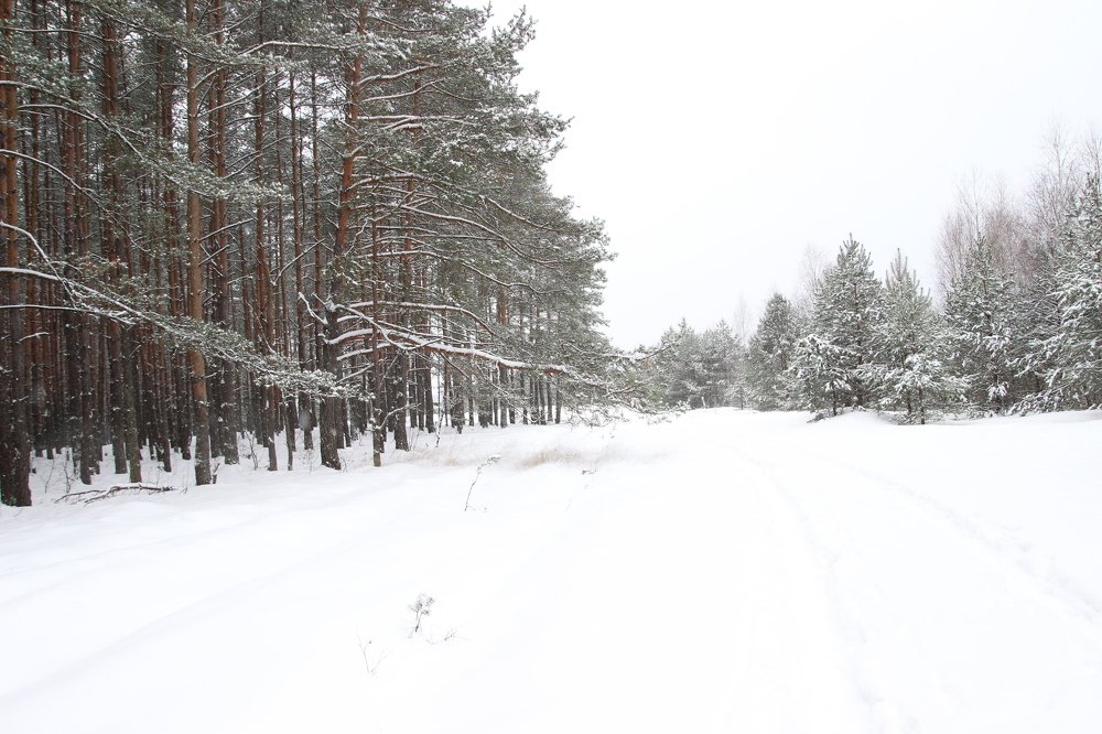 Photograph by Наталья Рыкова