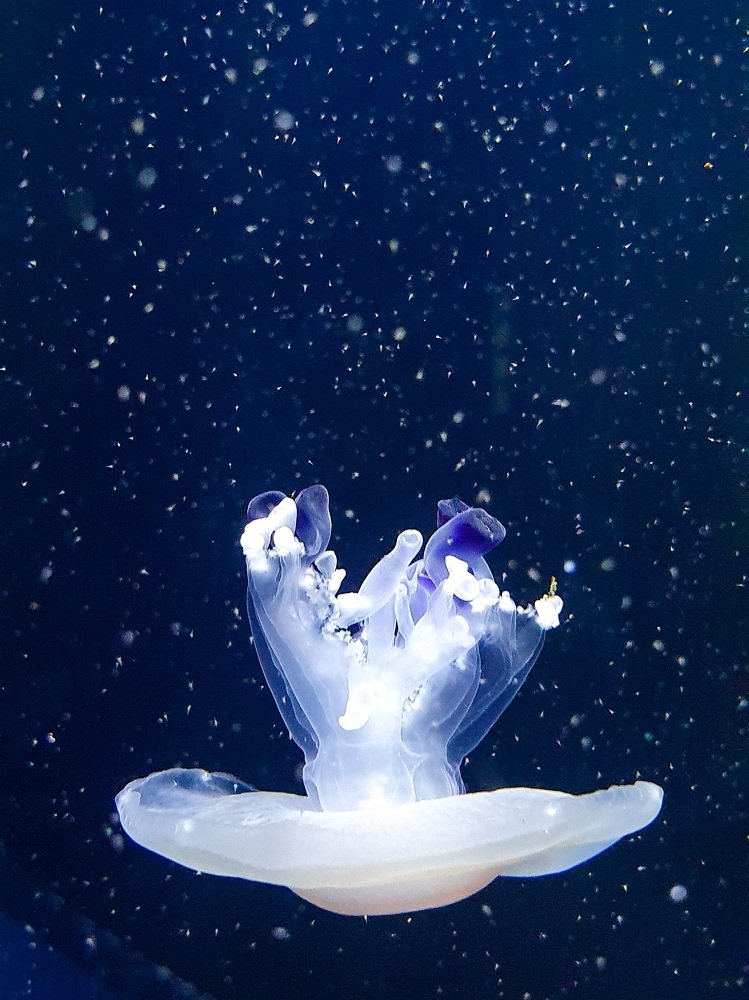 Photograph by Елена Власова