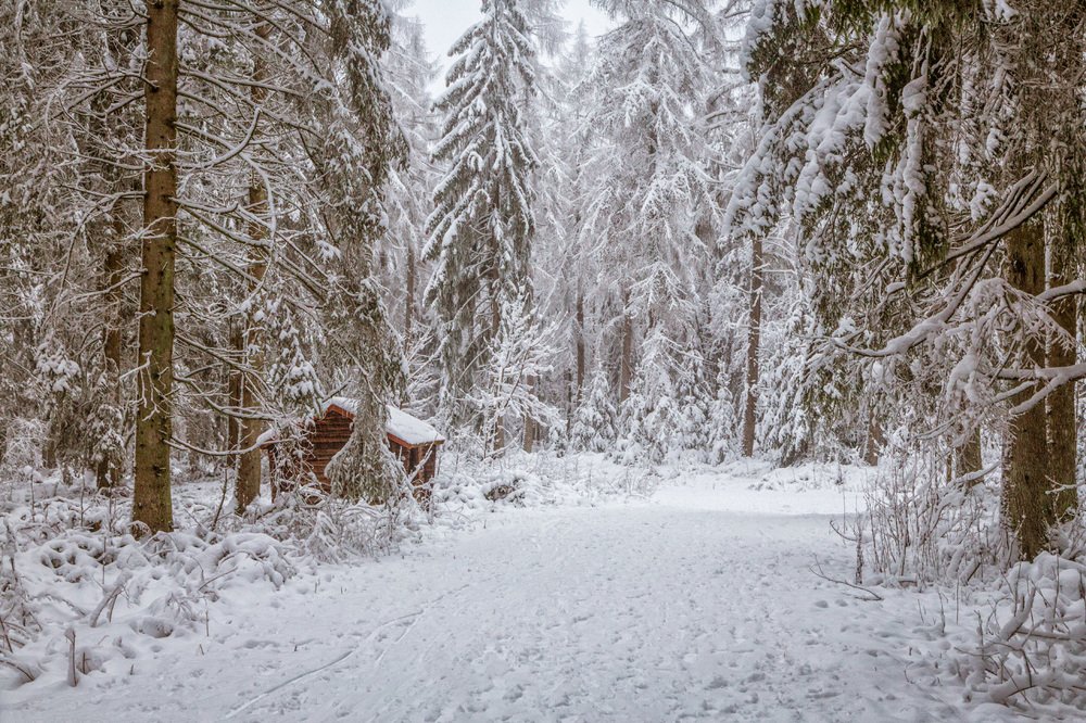 Photograph by Ирина Шумахер