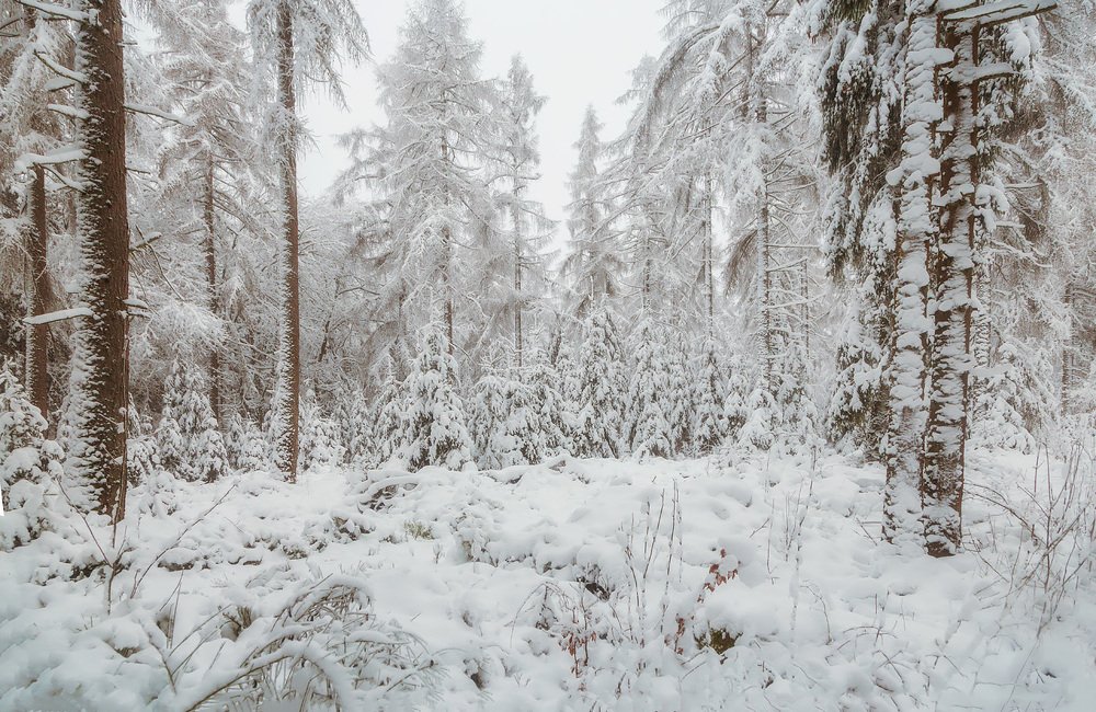 Photograph by Ирина Шумахер