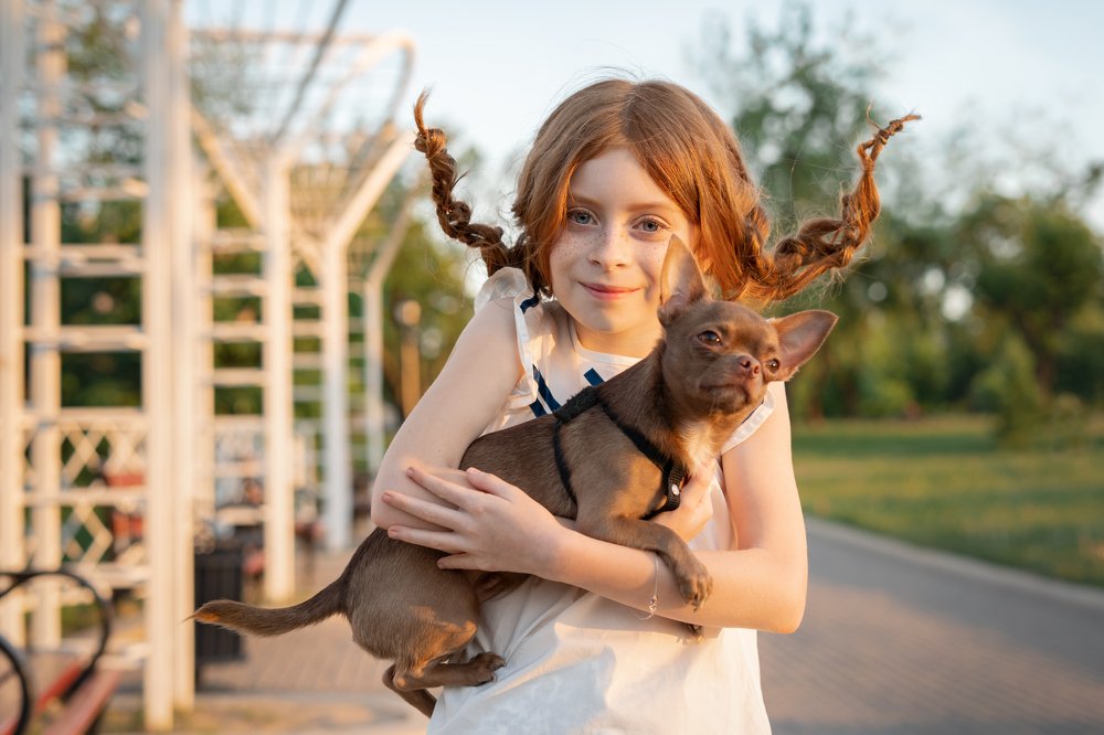 Photograph by Ольга Роговская