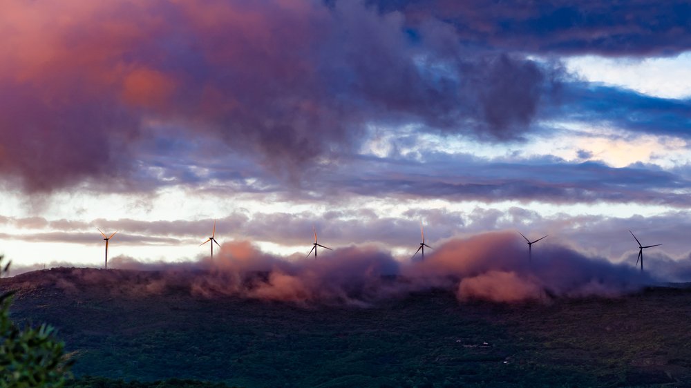 Photograph by Robert Jankovic