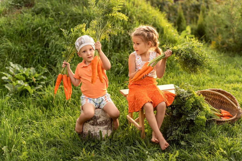 Photograph by Ольга Роговская