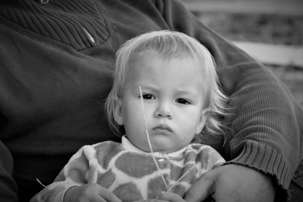 Photograph by Александр Зуев