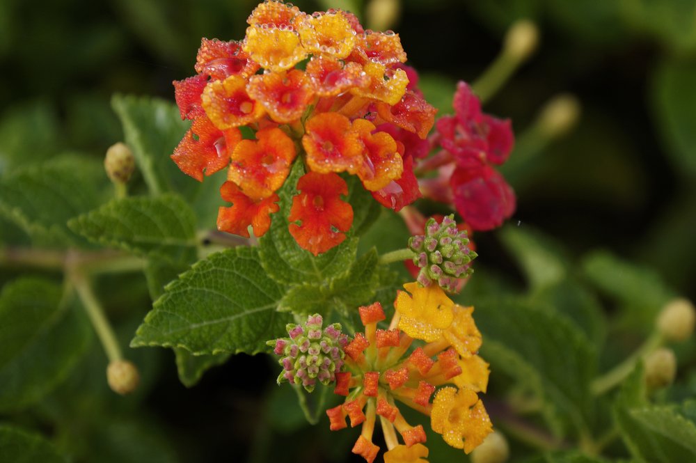 Фотография автора Andre Barbosa