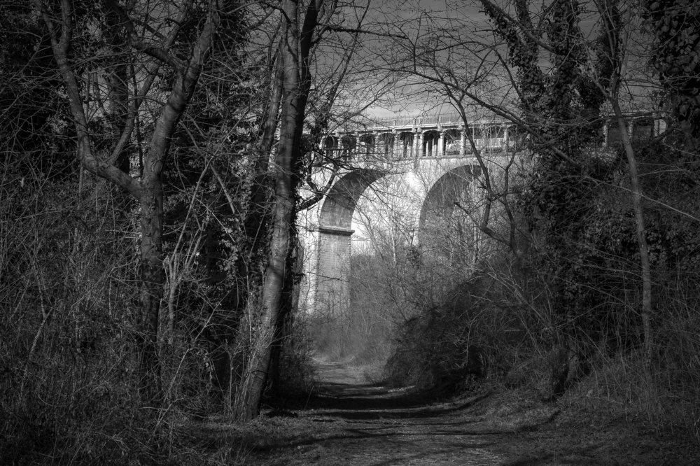 Photograph by Luciano Tassone