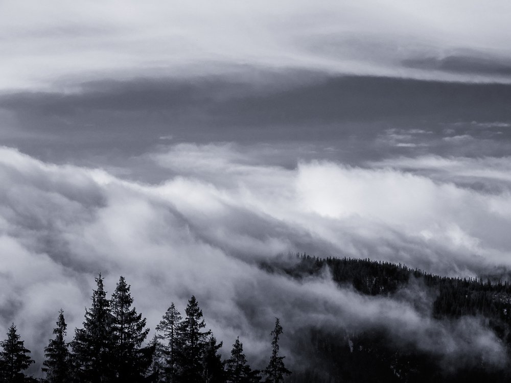 Фотография автора Remus Lucescu