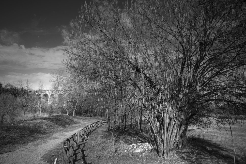 Photograph by Luciano Tassone