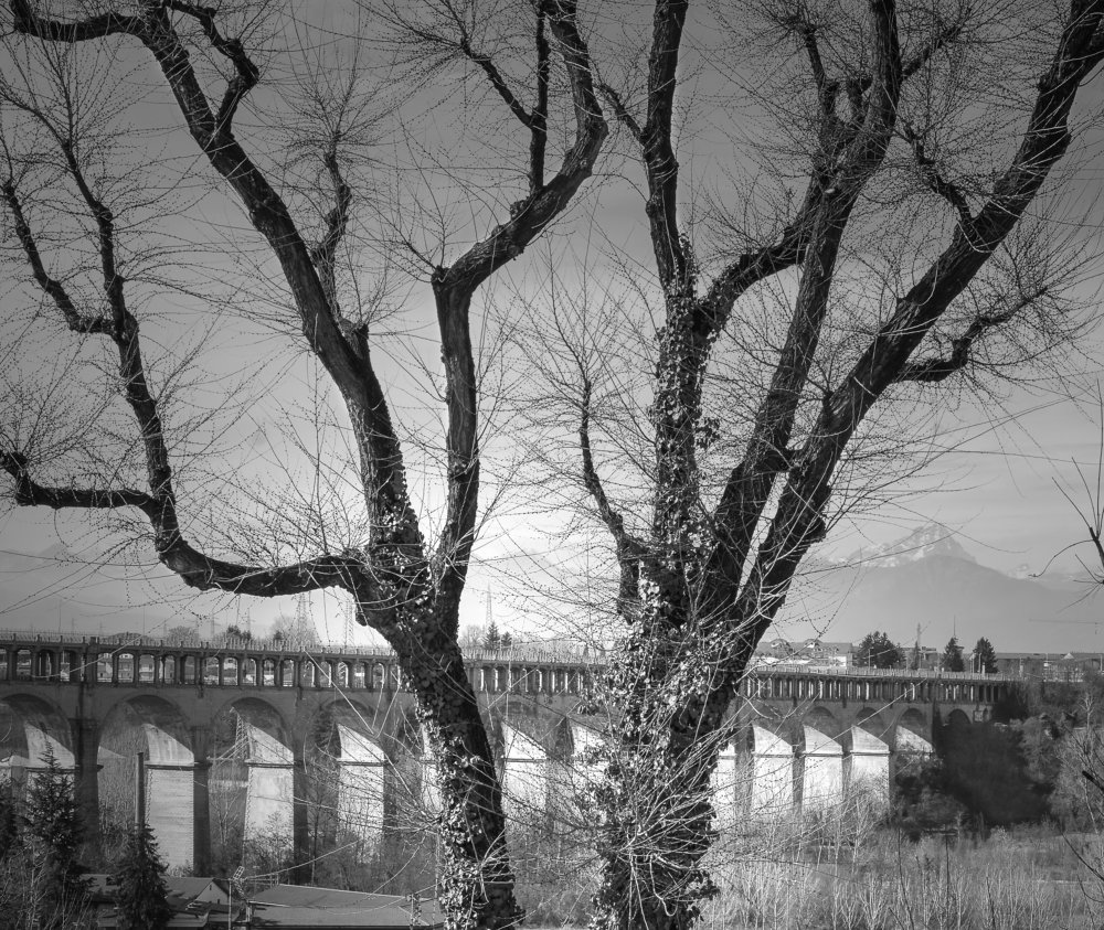 Photograph by Luciano Tassone