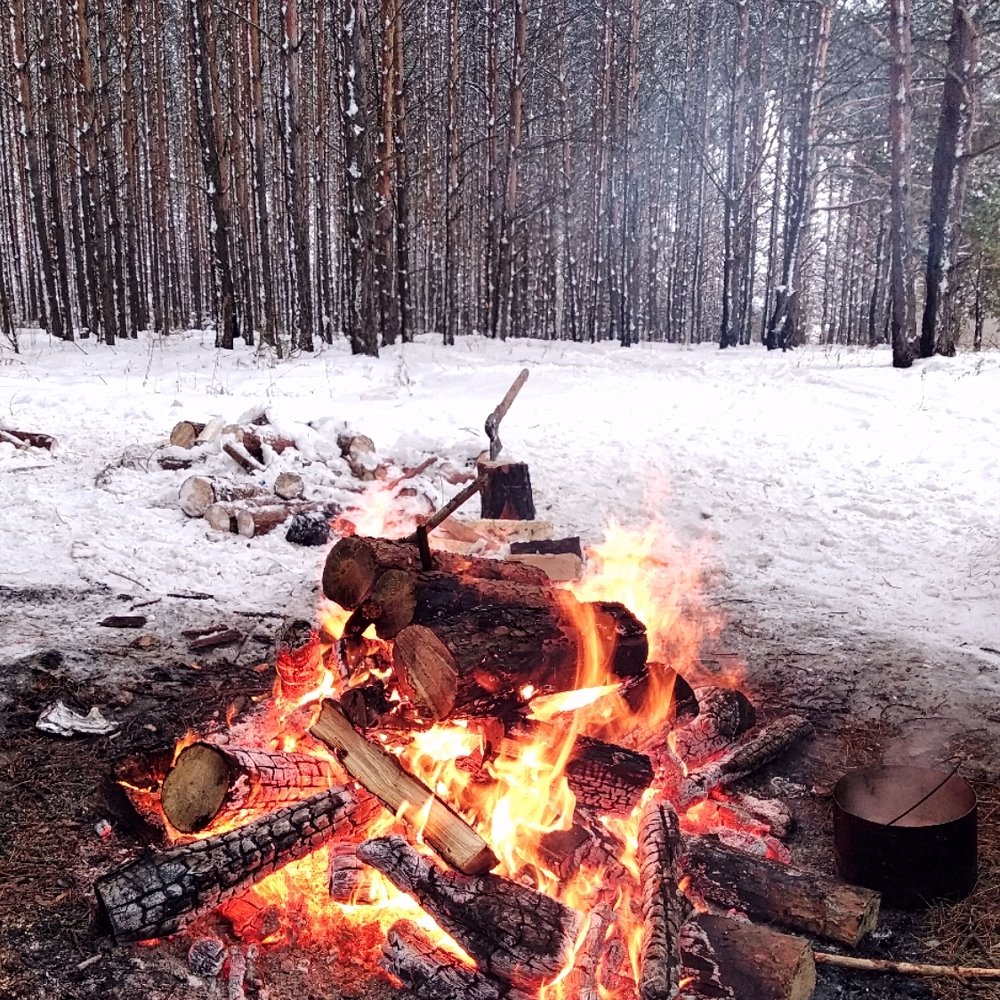 Photograph by Елизавета Сомова