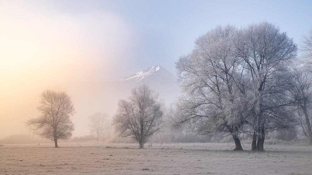 Фотография автора Nikolay Ivanov