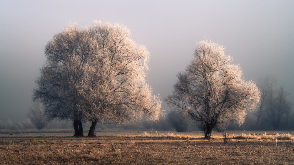 Photograph by Nikolay Ivanov