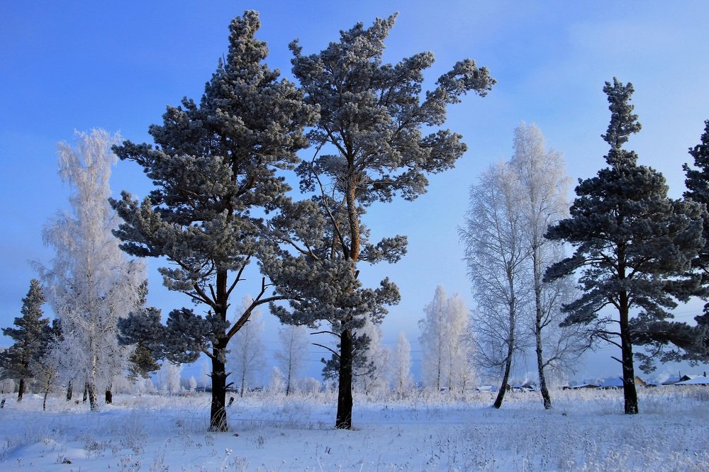 Photograph by Леунина Людмила