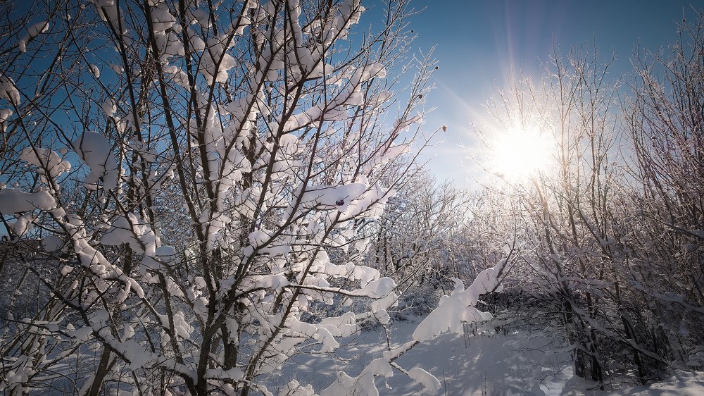 Зимний солнечный пейзаж