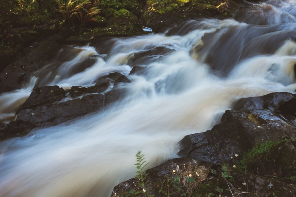 Photograph by Алина Логвиненко