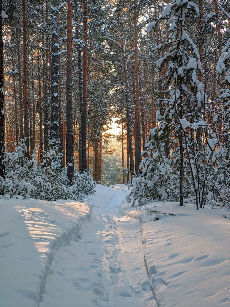 Photograph by Дмитрий Кузнецов