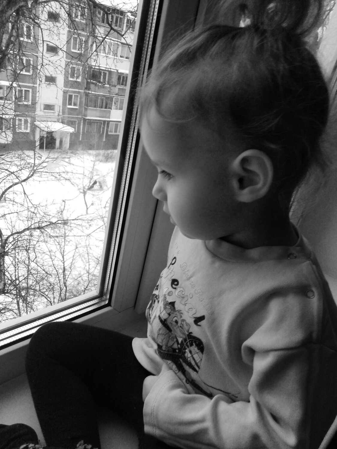 Photo #5498913