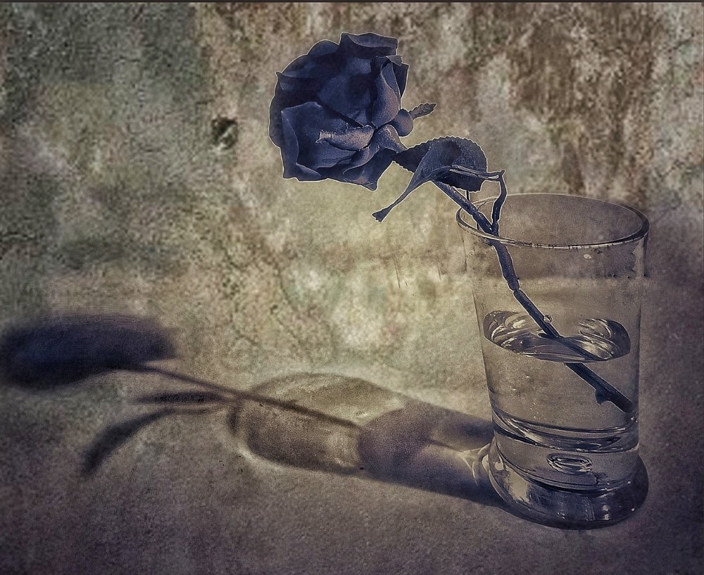 Photograph by Hafiz Zenab