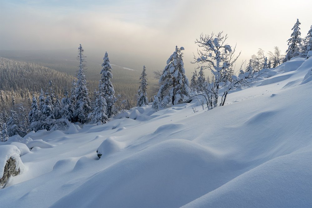 Photograph by Николай Алехин