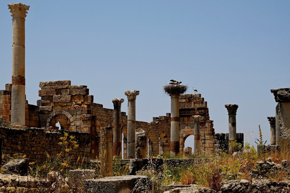 Photograph by Леонид Петруша