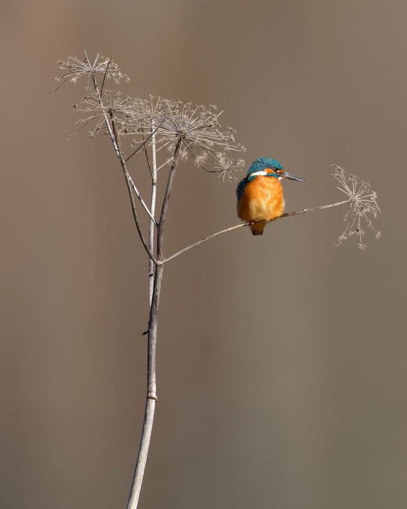 Photograph by zause01