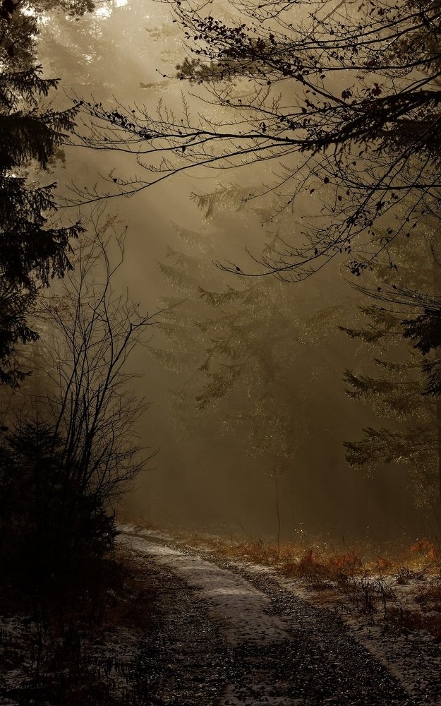 Photograph by zause01