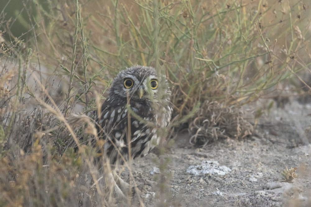 Photograph by Marcos Contreras Ortiz