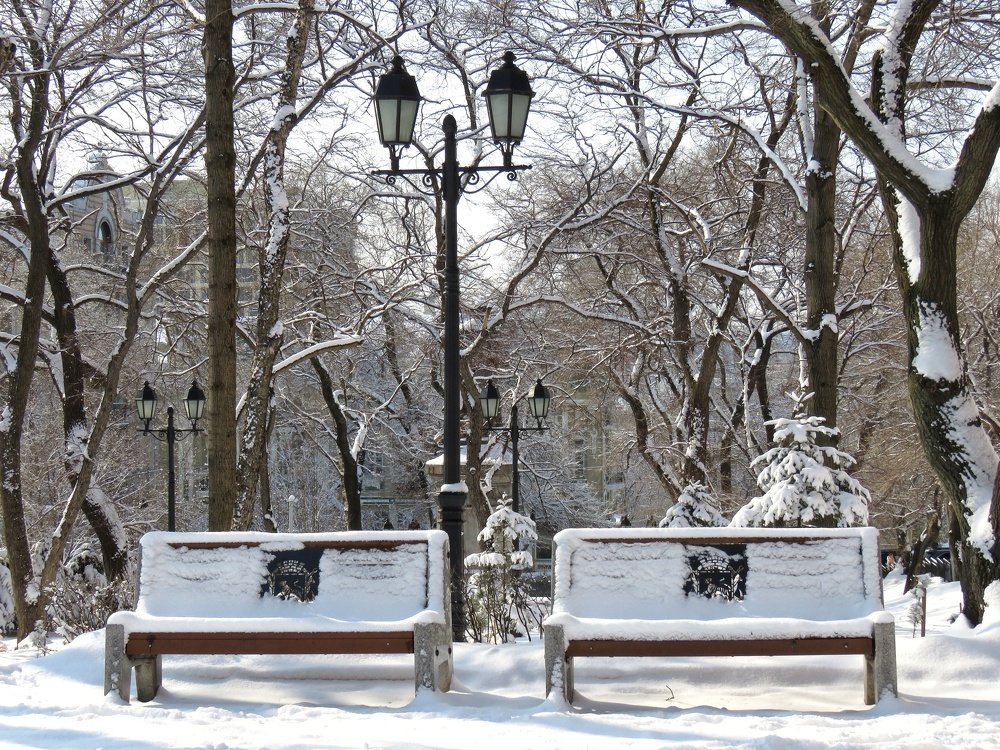 Зимний день