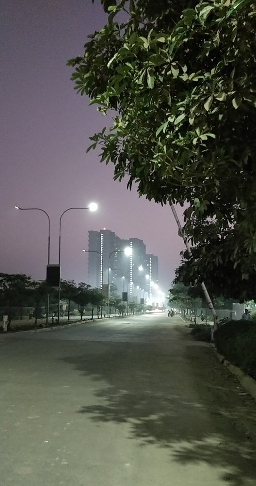 Photograph by Nutan Khedekar