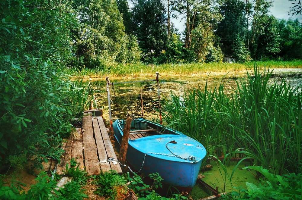 Photograph by Анна Каменева