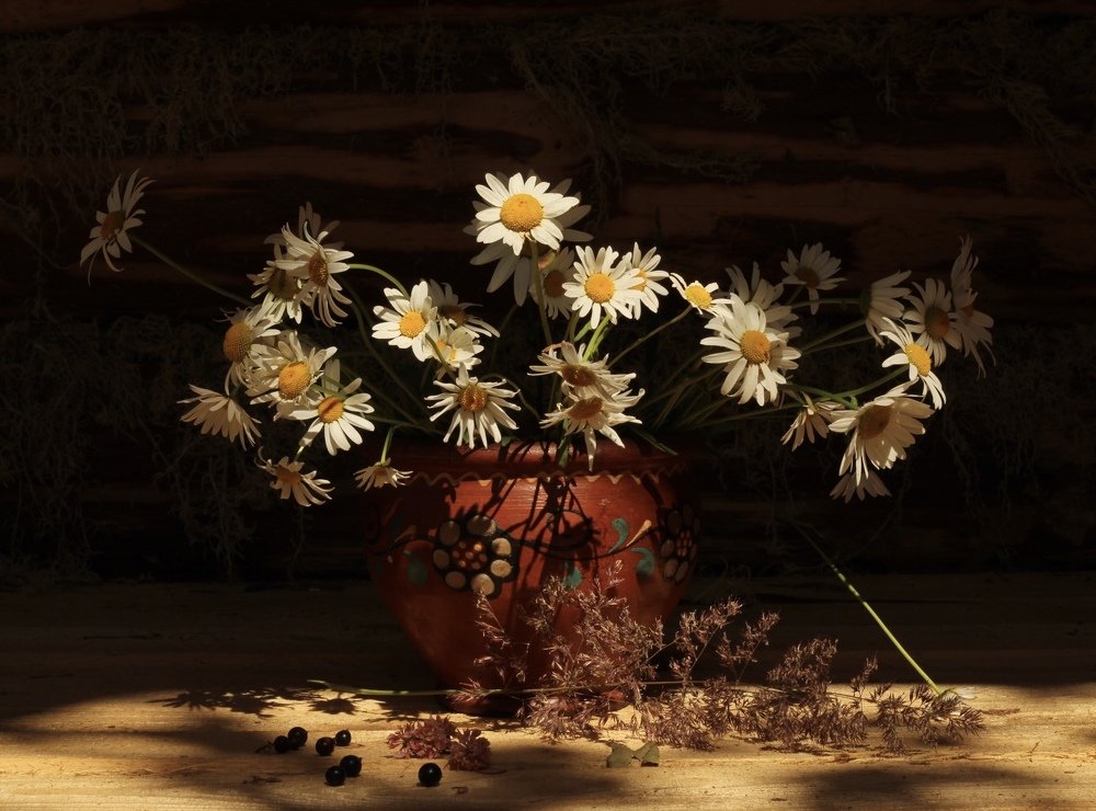 Душа в ромашках