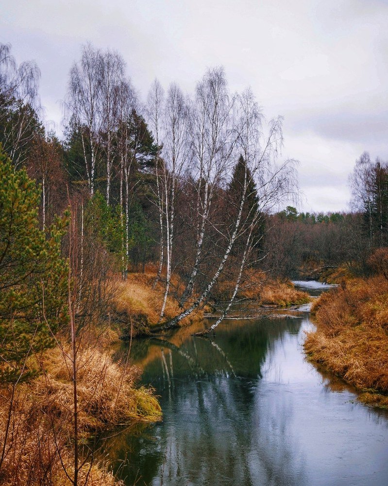 Photograph by Анна Каменева