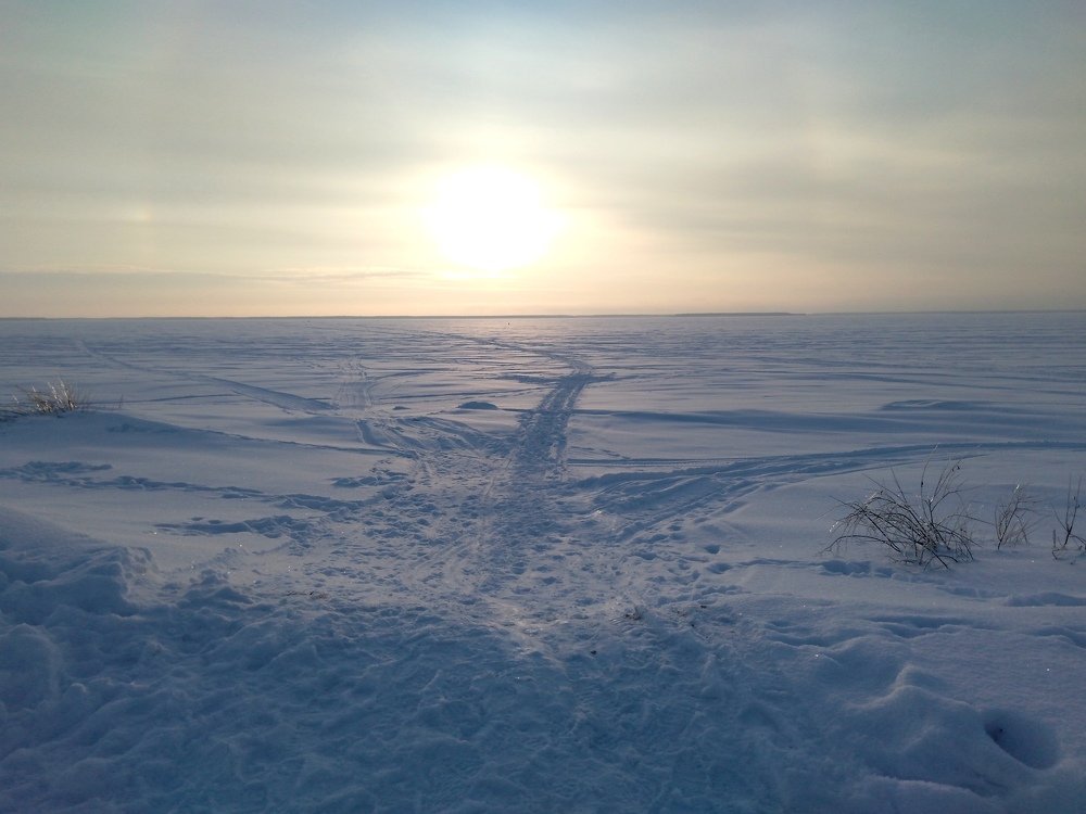 Photograph by Елена Малкова