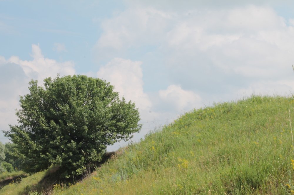 Photograph by Дарья Ващенко-Панкина