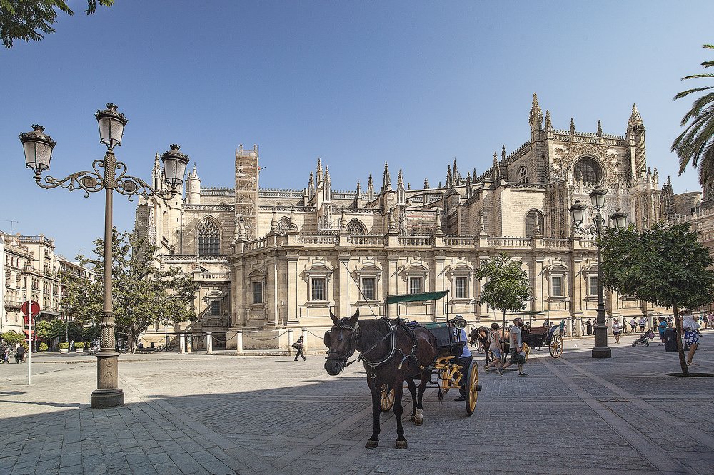 Кафедральный собор. Сивилья.