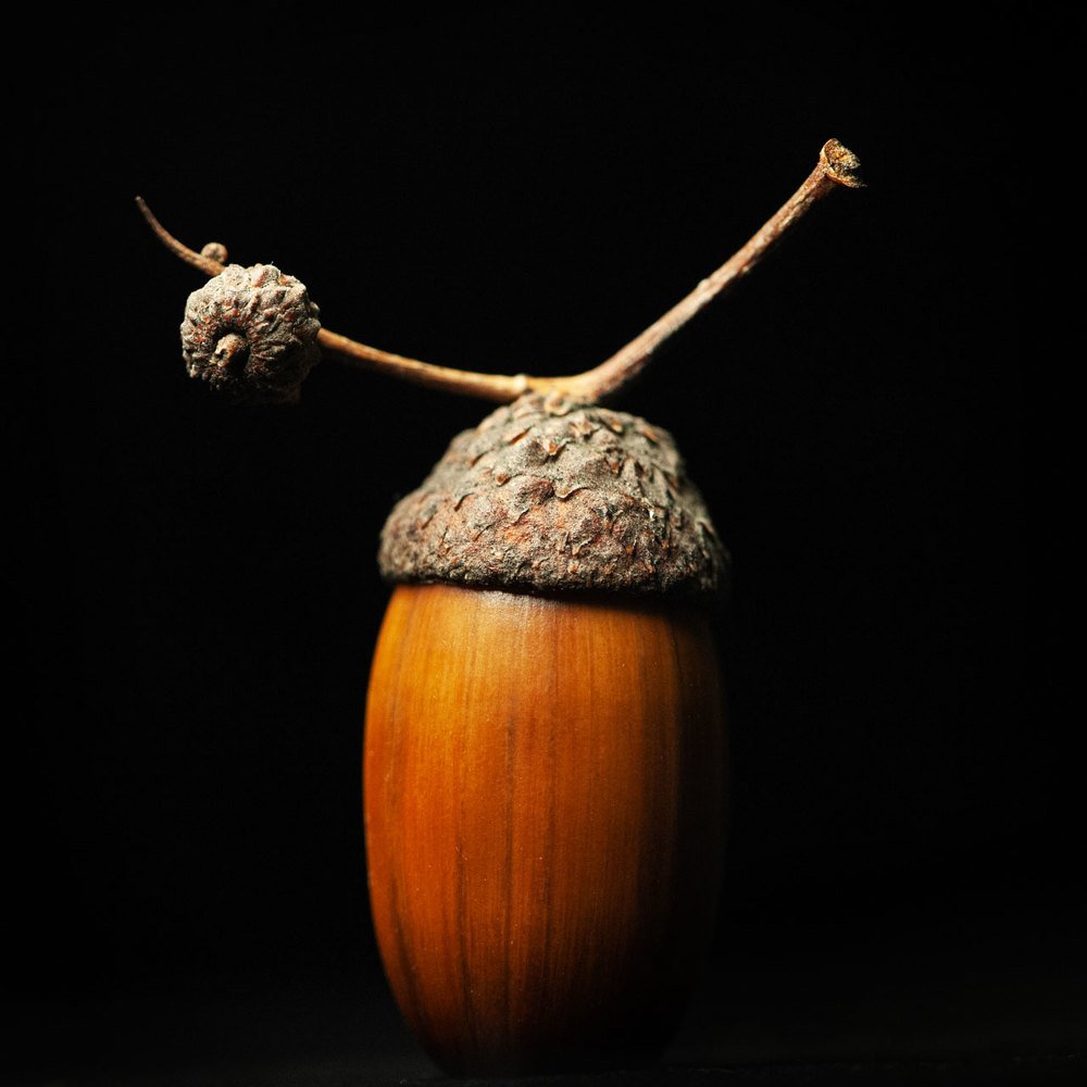 Photograph by Карина Воробьева