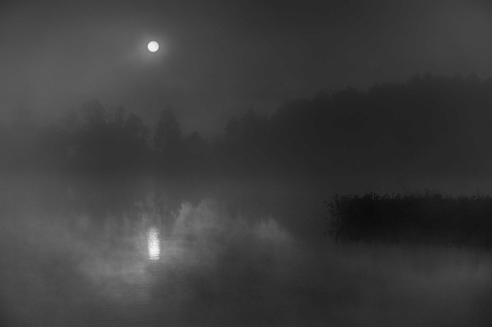 Photograph by mikhail goryachev