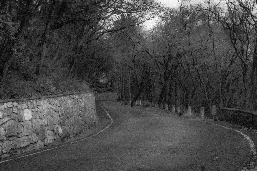 Photograph by mikhail goryachev