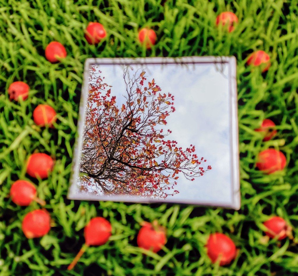 Autumn in a mirror