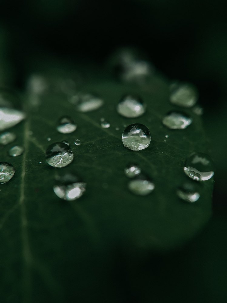 Photograph by Ирина Львова