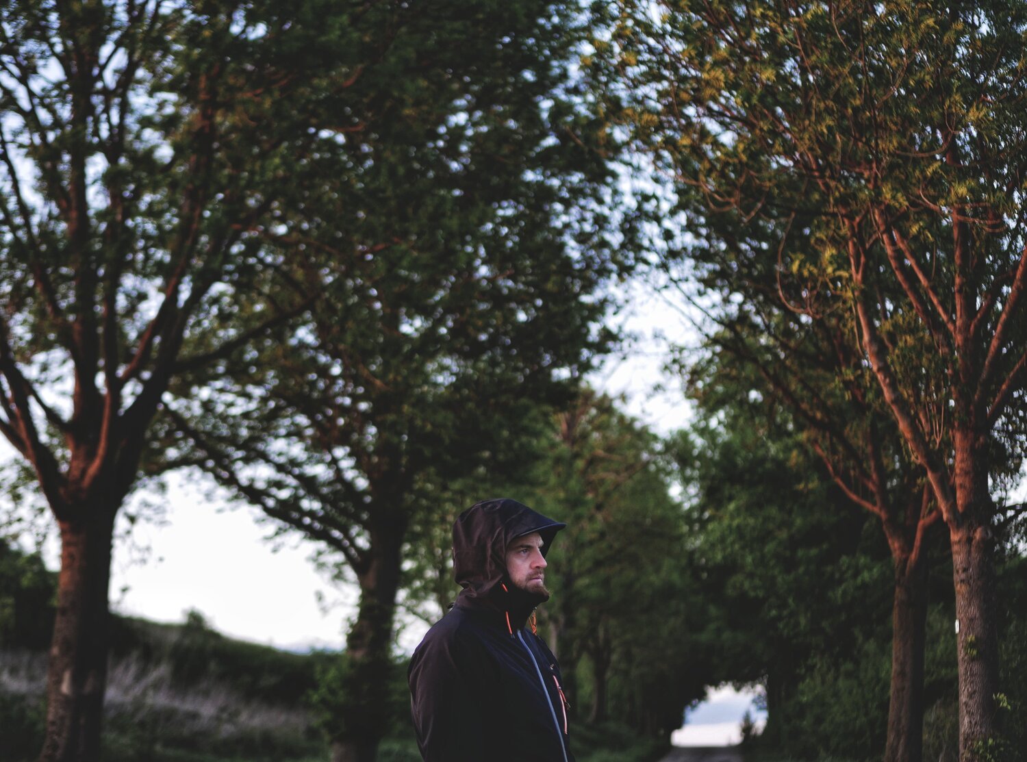 Photo #5499577